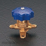 ESCO Packless Valve