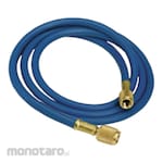 BluePoint Yellow Hose