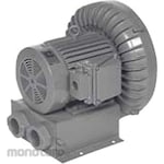 Hitachi Industrial Equipment Systems Increased safety explosion-proof vortex blower (E series) three-phase (Ring Blower)
