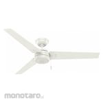 Hunter Cassius Ceiling Fan