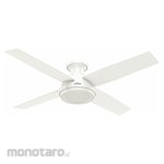 Hunter Dempsey Ceiling Fan