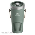 Electrolux Air Purifier (Penjernih Udara)