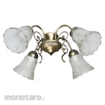 EDMA Light Kit for Fan