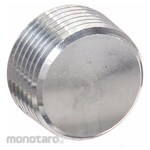 HUBBELL KILLARK Hazardous Location Blank Plug