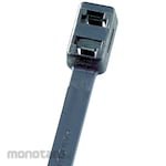 Panduit Cable Ties Pan-Ty Double Loop (Pengikat / Kabel Tis)