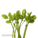 Resiltools Cable Ties Leaf Green