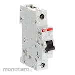 ABB Miniature Circuit Breaker 1P (MCB)