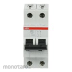 ABB Miniature Circuit Breakers 2P S202-D32 1pc