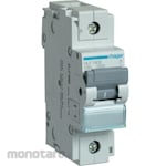 Hager Miniature Circuit Breaker (MCB)