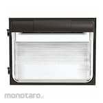 LITHONIA LIGHTING Wall Pack
