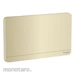 Schneider Electric Blank Plate 1 Gang AvatarOn Series (Penutup Dinding Kosong)