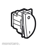 Legrand Double Pole Switch Arteor