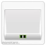 Boss Fiber Optic Outlet