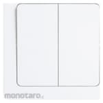 Hager 16AX 2G 2W Switch