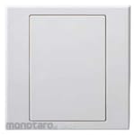 SIMON ELECTRIC Blank Plate