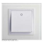 SIMON ELECTRIC Double Pole 1 Way Switch with LED