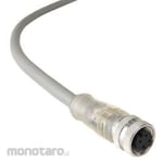 BULGIN Circular Connector 4 Pole M12 Cable Mount Panel Mount