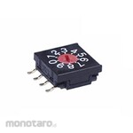 NKK Switches (formerly Nippon Kaikei) NKK Switches 10-position rotary switch