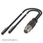 Balluff Proximity switch