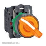 Schneider Electric Harmony XB5 Complete Illuminated Selector Switch Ø23