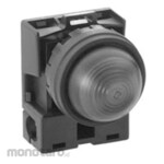 IDEC Φ22 HW series pilot light