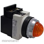 Maruyasu Dengyo 25Φ pilot flat transformer type