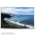 RS PRO RS PRO TFT LCD Display, 10.1 inch TFT, 1280 x 800 pixels