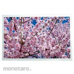 RS PRO RS PRO TFT LCD Display, 12.1 inch TFT, 1280 x 800 pixels