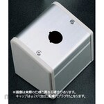 SUS S-8595D 1-Φ16.1L106 / Back 1 point