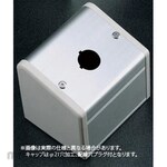 SUS S-8595D 1-Φ16.1L106 / Normal