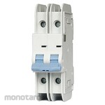DAYTON 2-Pole, UL489 DIN Rail-Mount Miniature Circuit Breaker