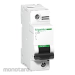 Schneider Electric C120H Circuit breaker