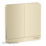 Schneider Electric AvatarOn 2 Switches