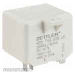 FRANKLIN ELECTRIC Motor Replacement Part (Relay Starter Pompa Satelit)