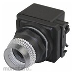 DAYTON Extended Push Button