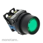 Fuji Electric Φ30 command switch AR30 / DR30 Illuminated pushbutton switch (incandescent)