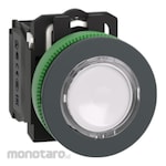 Schneider Electric Illuminated Push Button Flush Mounted Plastic