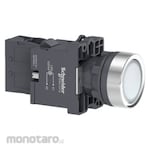 Schneider Electric White Flush Complete Illum Push-Button