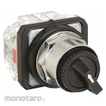 DAYTON Non-Illuminated Selector Switch with Contact Block