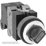 IDEC Φ25 TWS series Illuminated selector switch (LED) 90 ° 2 notch