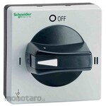 Schneider Electric Rotary Handle
