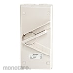 Schneider Electric Kavacha W Surface Mount Double Pole Isolating Switch