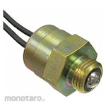 CPI Limit/Interlock Switch