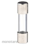 BUSSMANN Fuse Glass AGX Series