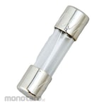 ESCO 125V Tube Fuse Dia6.4X30mm