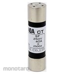 ESCO 250Vx 40A / Φ20mm cylindrical enclo fuse (2)