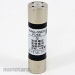 ESCO 250Vx 60A/ Dia20mm Cylindrical Encrofuse 2