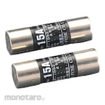 ESCO Cartridge Enclosed Fuse (2)