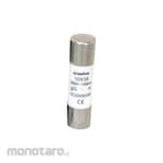 EWIG Fuse