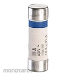 Legrand Domestic Cartridge Fuse 10.3x31.5mm